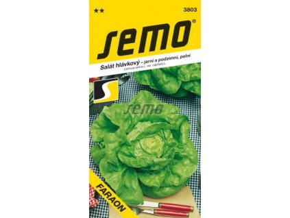 3803 semo zelenina salat hlavkovy faraon 256x500