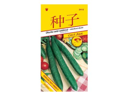 2412 Okurka BURPLESS TASTY GREEN F1 10s.