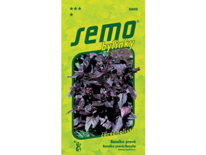 5899 semo bylinky bazalka prava red rubin 269x500