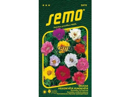 9476 semo kvetiny letnicky srucha velkokveta plnokveta 269x500