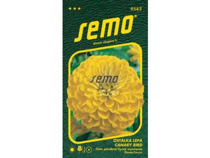 9582 semo kvetiny letnicky ostalka lepa canary bird 269x500