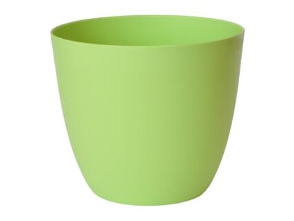 93d215a7 c6a1 4d42 889d 4d2e65d281fa