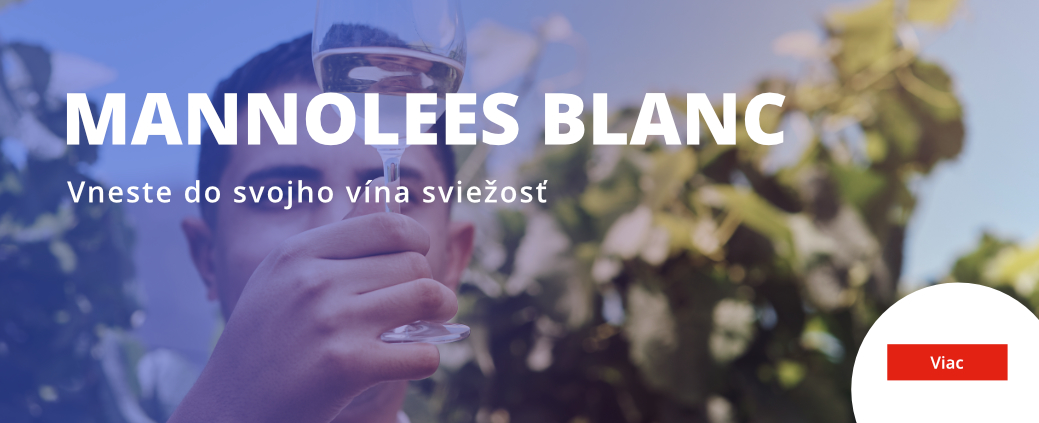 manolees blanc