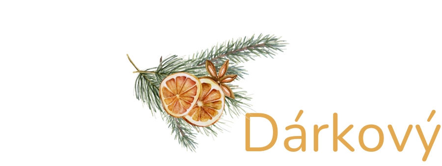 Dárkový průvodce - titulka2