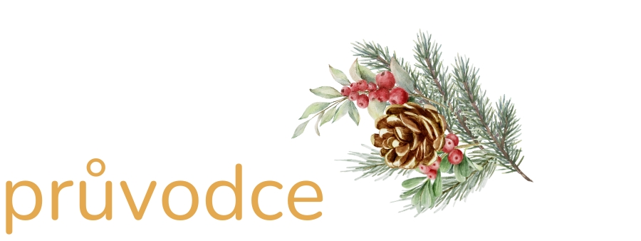 Dárkový průvodce - titulka3