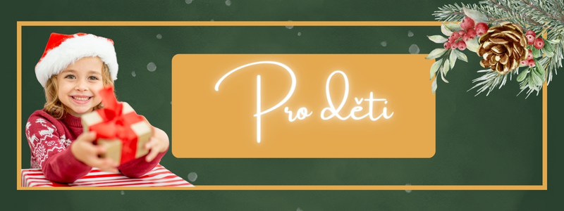 Dárkový průvodce - pro děti