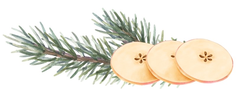 vanocni_prouzek_jablicko