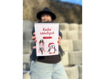 Samolepková kniha VÁNOCE A ZIMA