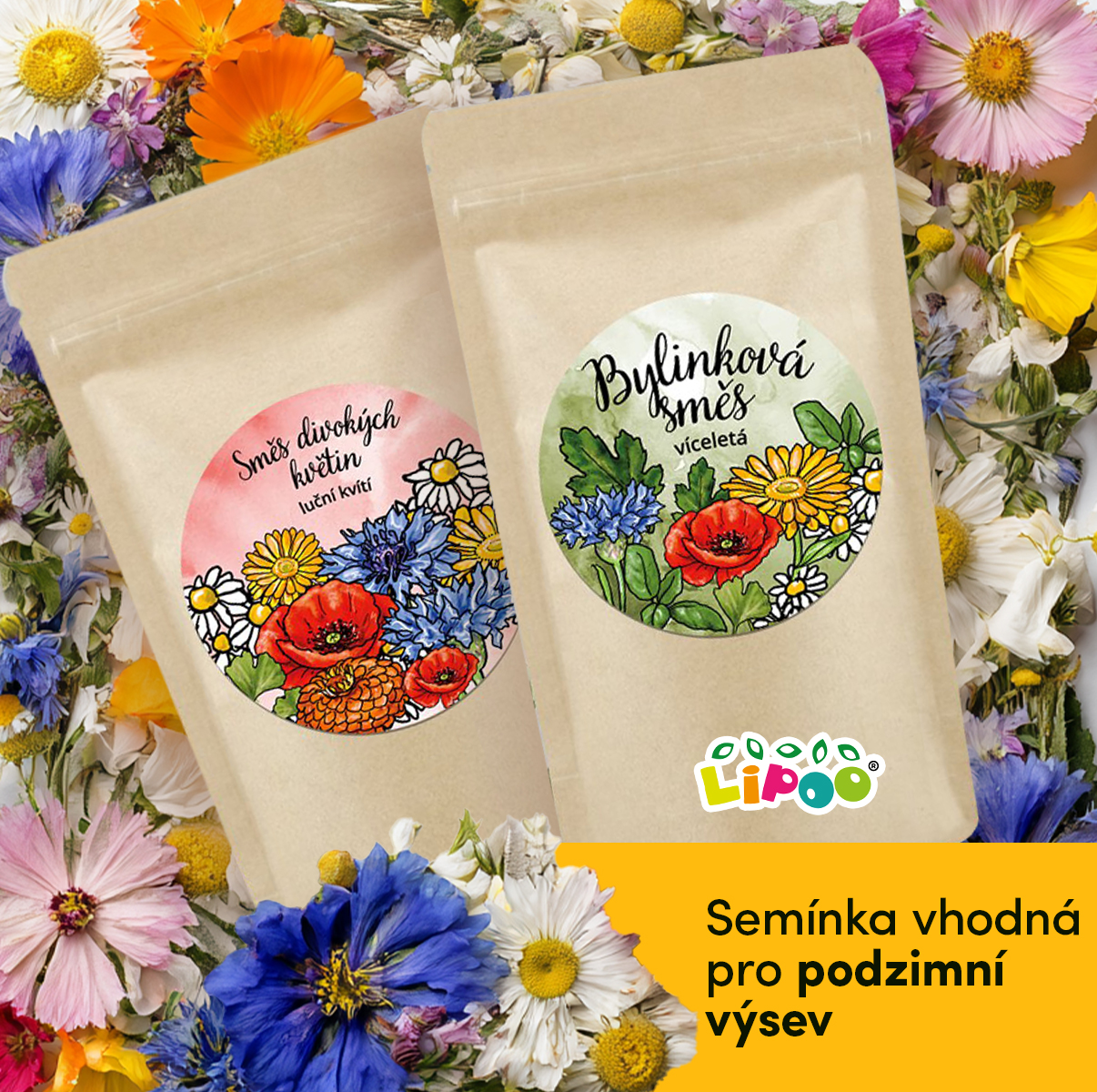 SETÍ KVĚTINOVÉ LOUKY NA PODZIM: Jednoduchý návod krok za krokem