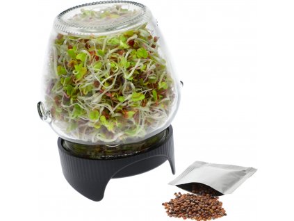 SKLENICE NA KLÍČENÍ + SEMÍNKA MICROGREENS