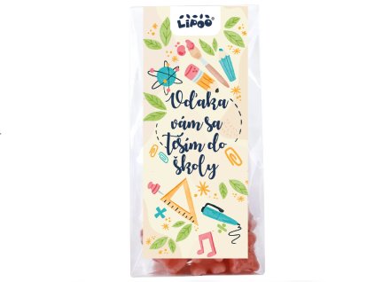 VĎAKA VÁM SA TEŠÍM DO ŠKOLY