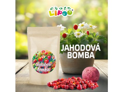 JAHODOVÁ BOMBA