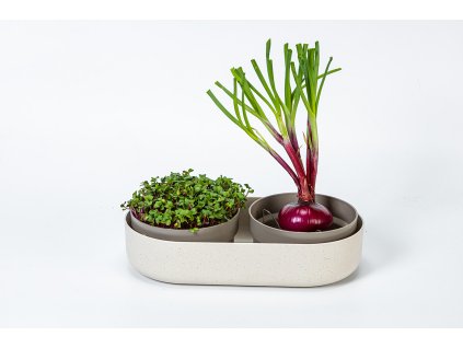 MICROGREENS LIPOO KVĚTINOVÁ BOMBA