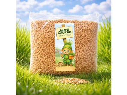 JARNÍ JEČMEN, SEMÍNKA OD JEČMÍNKA