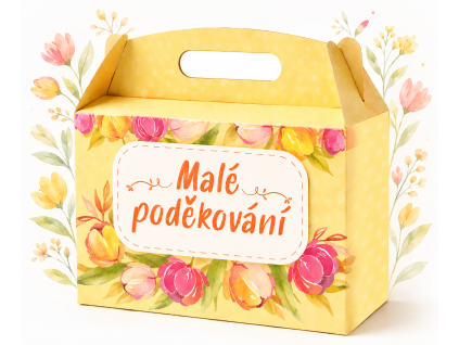 DÁRKOVÝ BOX MALÉ PODĚKOVÁNÍ