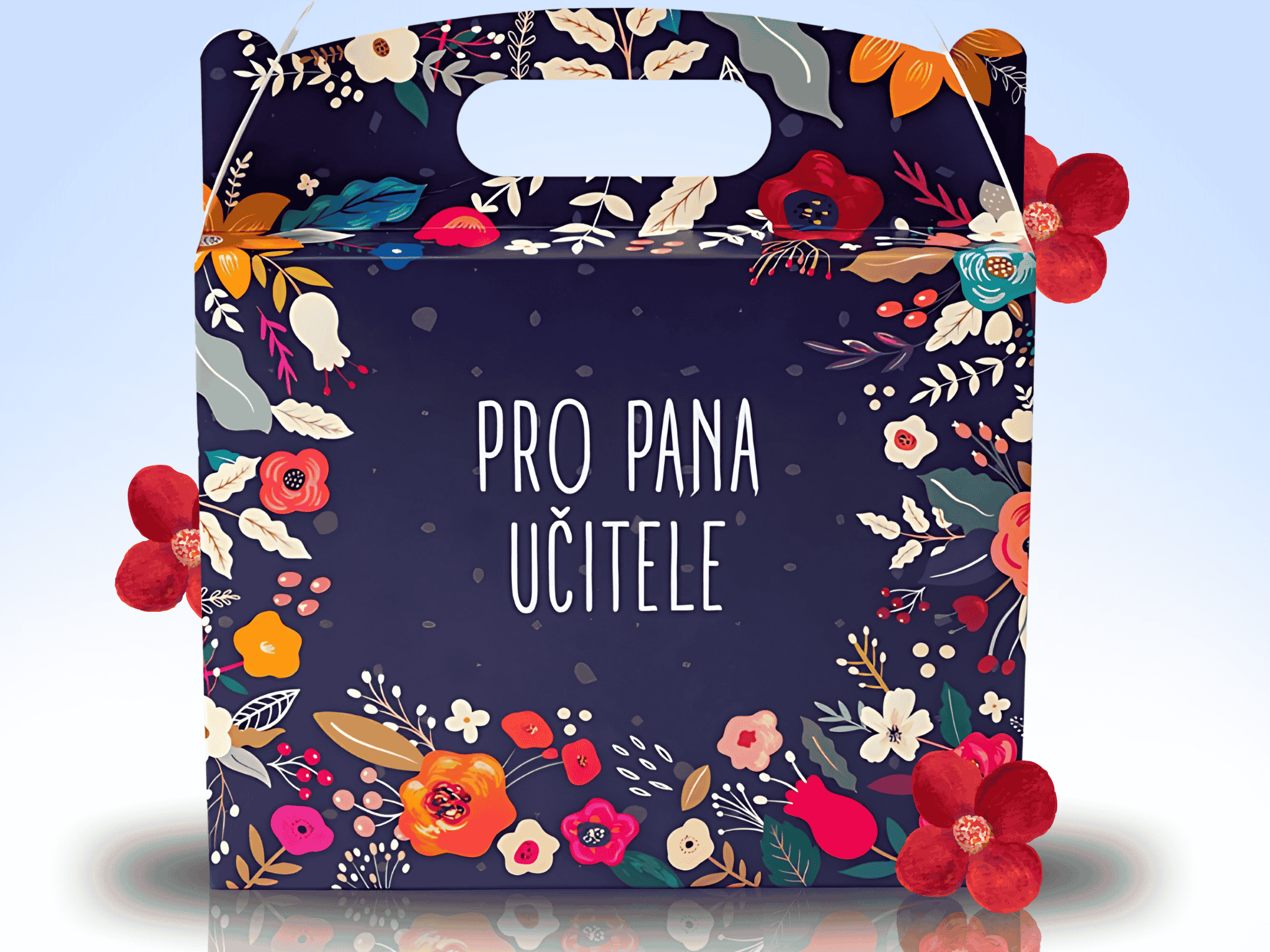 LIPOO DÁRKOVÝ BOX PRO PANA UČITELE