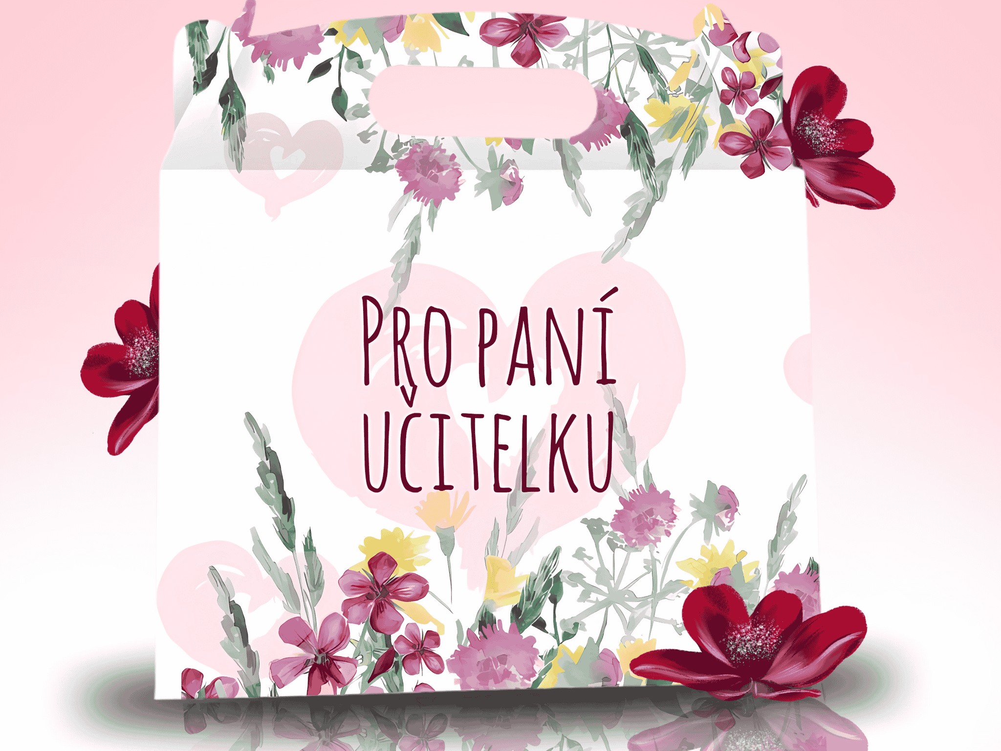 LIPOO DÁRKOVÝ BOX PRO PANÍ UČITELKU