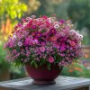 janamihu huge garden pot with pink and magenta flowers Zinnia Z 95bde9a1 ce24 4d3c adae dc77509dcb06
