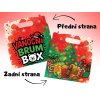 ČAJOVÍ MEDVÍDCI BRUM BOX VÁNOČNÍ