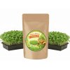 SUPERKLÍČEK RUKOLKA SEMÍNKA NA MICROGREENS LIPOO