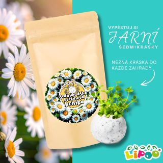 Naši zákazníci mají jasno: 4.8/5! Není nic lepšího, než když se těšíte na jaro s balíčkem v ruce. Naše sedmikráskové bomby...