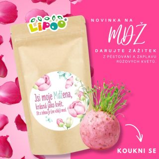 🌸 Jsi moje Mdžena, krásná jako květ... MDŽ už dávno není jen o červených karafiátech. Je to den, kdy oslavujeme všechny...
