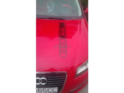 AUDI pás (Farba Brúsený Hliník, Rozmer 120x22)