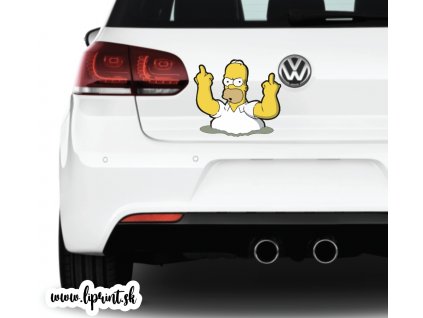 Homer (Rozmer 60x60)