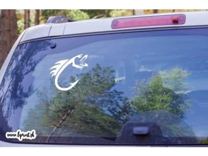 Ryba (Farba Brúsený Hliník, Rozmer 60x60)