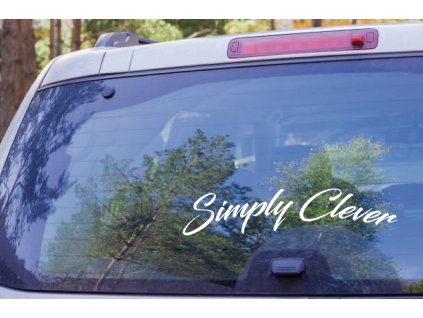 Simply clever (Farba Brúsený Hliník, Rozmer 30x10)