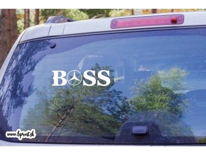 Mercedes boss (Farba Brúsený Hliník, Rozmer 50x30)