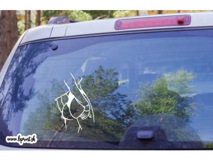 Snímka obrazovky 2024 01 25 o 8.18.16