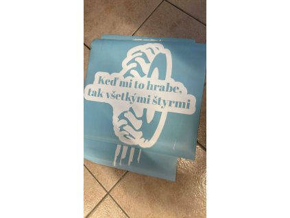 537975235 2106059803253255 178029992855003411 n