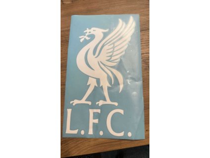 552209788 1719911905385735 7591182257847422036 n