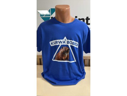 b6685833 7e73 42fc 8a49 db9e8e09dacc