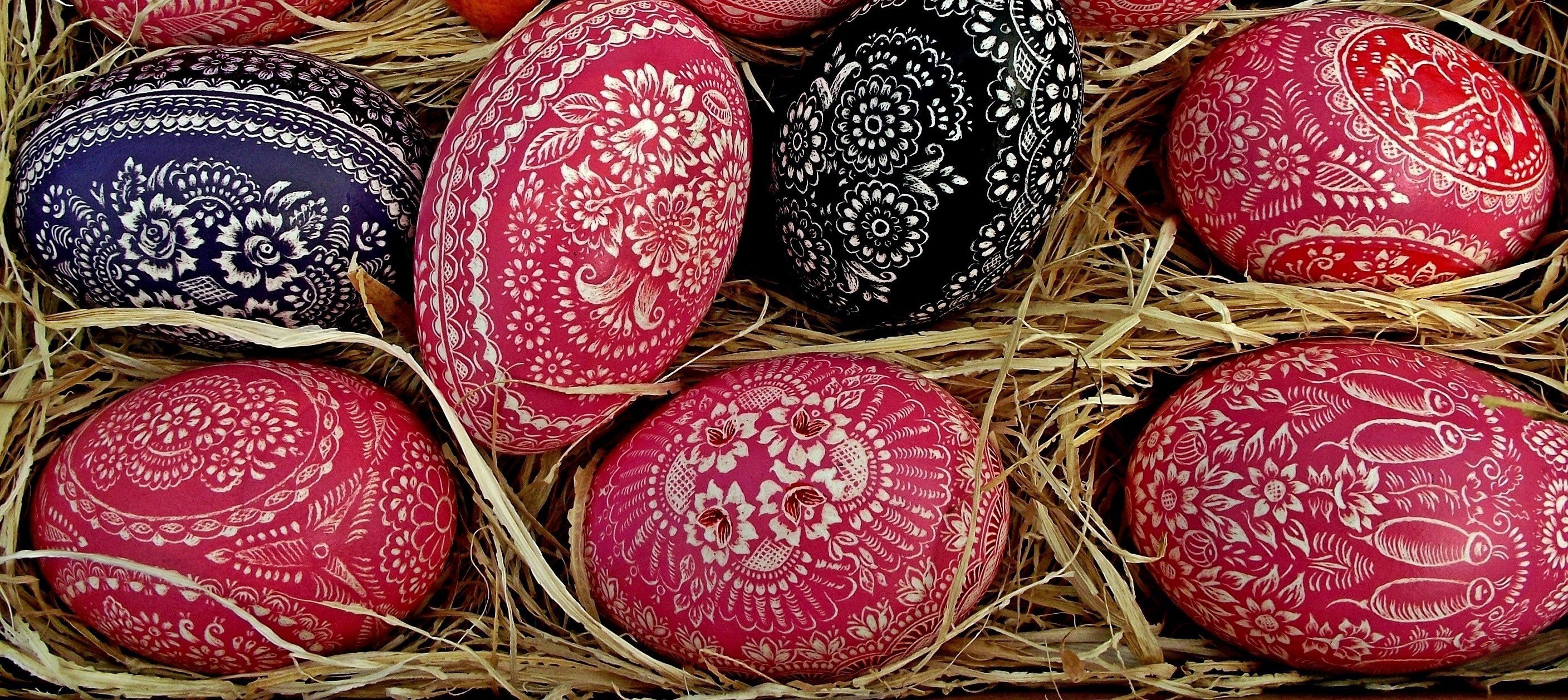 mrgajowy3-easter-3101446