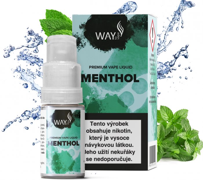 Fotografie Liquid WAY to Vape Menthol 10ml-6mg