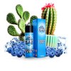 Blueberry Cactus