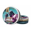 Aroma King Double Kick - NoNic sáčky - Blueberry ICE - 10mg /g, 2 produktový obrázek.
