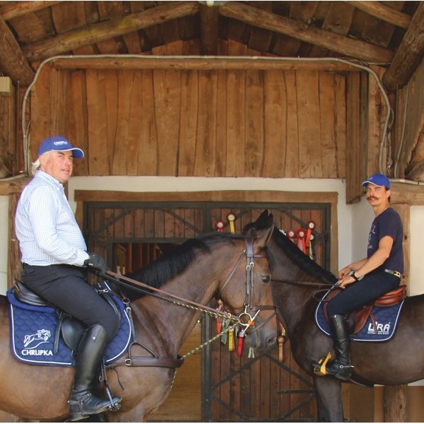 Ako šampióni kŕmia svoje kone? Krmivo pre športové kone.