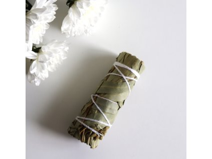 Vykurovací zväzok Eukalyptus / Obnova  vydymovadlo na ochranu, liečenie a duchovnú očistu