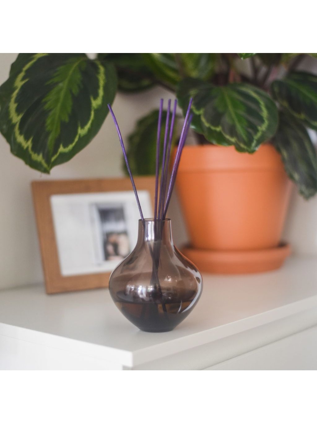 carbon fotky produktu (1024 × 1024 px) (17)