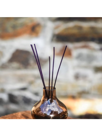 TVOJE SVICKA 2024 04 19T105340.841