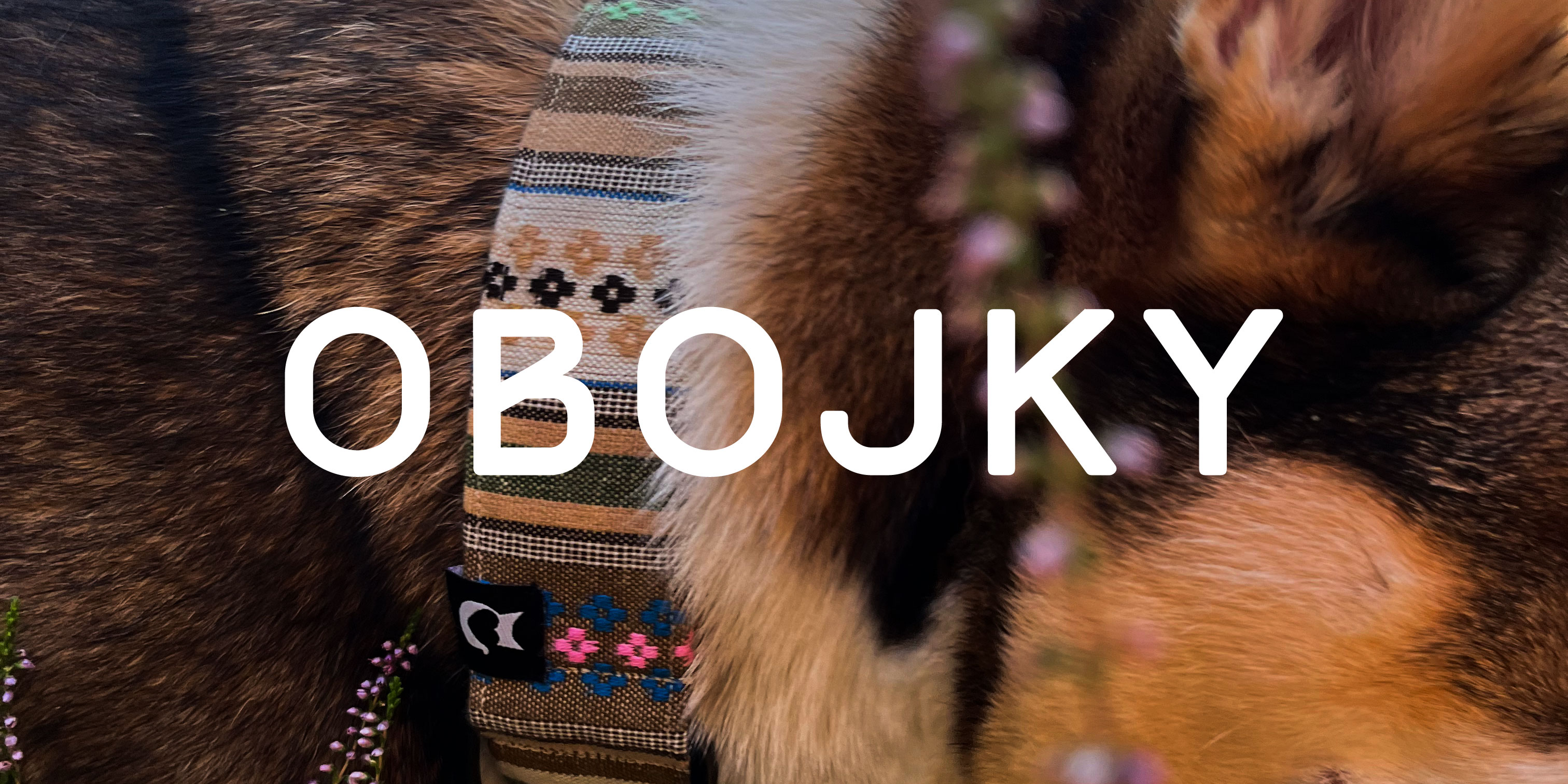 Obojky