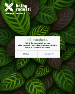 Listy neopadávají jen tak. 🍃 Něco musí odpadnout, aby mohlo vyrůst nové. ✨ U rostlin i u nás platí, že změna je přirozenou...