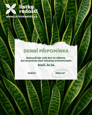 Denní připomínka pro tvoje duševní zdraví ✨ Nemusíš být celý den ve výkonu. Ani levandule není nonstop aromaterapie. 💜...