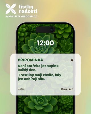 Není potřeba jet naplno každý den. 💚 Stejně jako rostliny – i my máme chvíle, kdy jen odpočíváme a nabíráme sílu. 🌱 A...