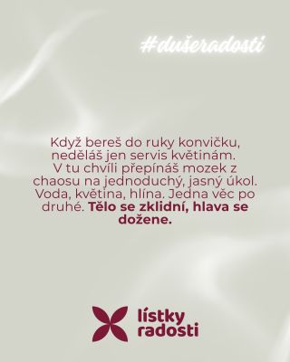 Zalévání není jen “domácí práce” . Je to krátký mentální reset – jen ty, voda a listy 🌿💧 Svět se na chvíli zmenší na tři...