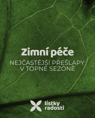 Horko od radiátoru, zima na světlo a zálivka jako v červenci – klasický zimní koktejl, po kterém pokojovky odcházejí....