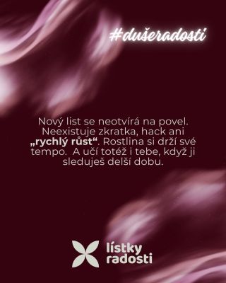 Rostliny neznají “instantní výsledek”. Týdny se nic neděje, pak se najednou rozbalí nový list 🌱⌛ Když žiješ v režimu...